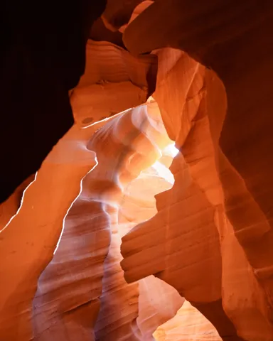 Sunlight illuminates a narrow canyon.