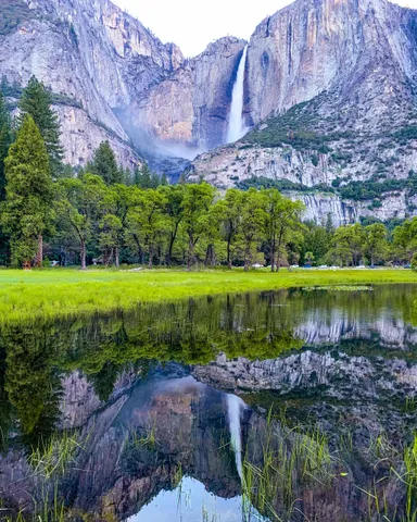 Lake with a perfect reflection of Yosemite Falls, Lush green trees and plants and purple mountains.